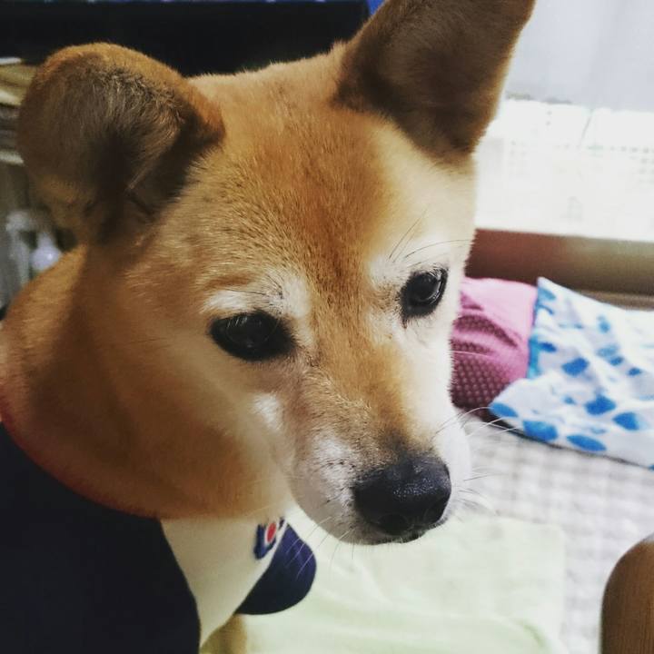 318f8462 66d8 46c5 865c a9df21661a10 1588409863622