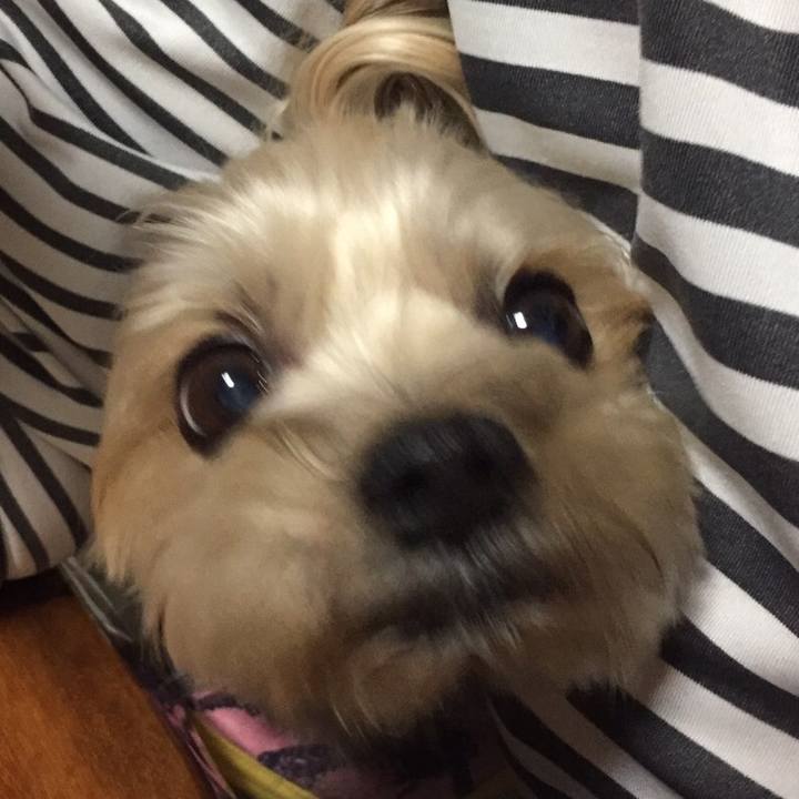 318fa8ac 8cff 430e 9dd8 fbd4b464004b 1522037586257