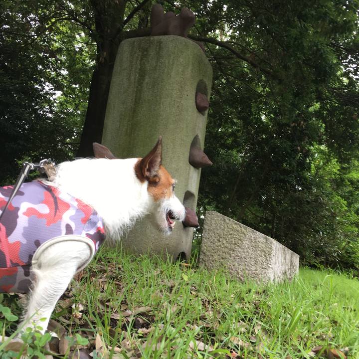 318fb387 78c8 4e36 bd72 9395bd918aaf 1594078531353