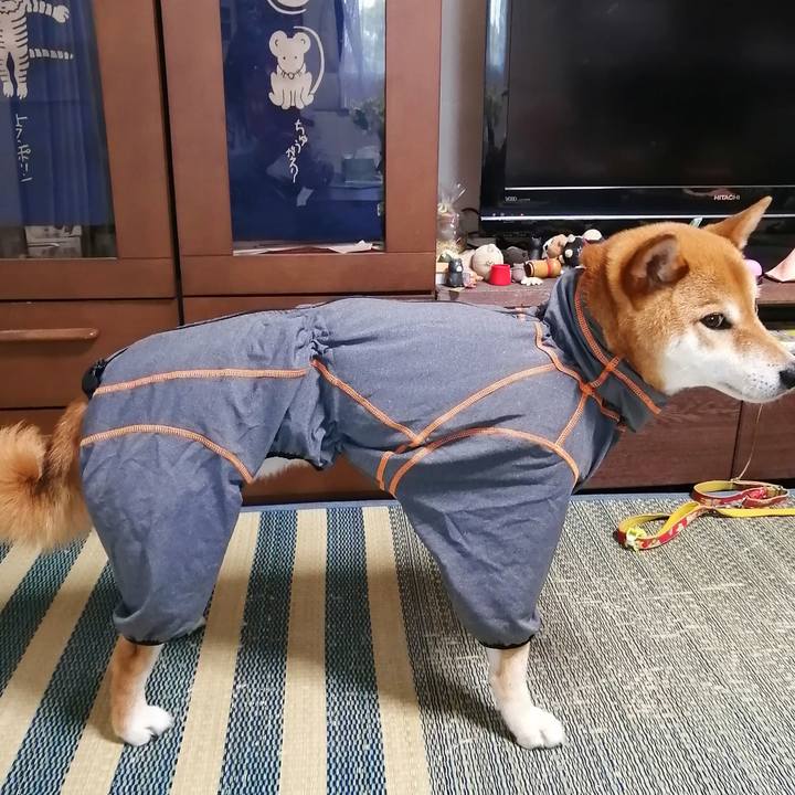 318fe6ae 8006 4196 b213 8b3644d8d9a7 1591708430104