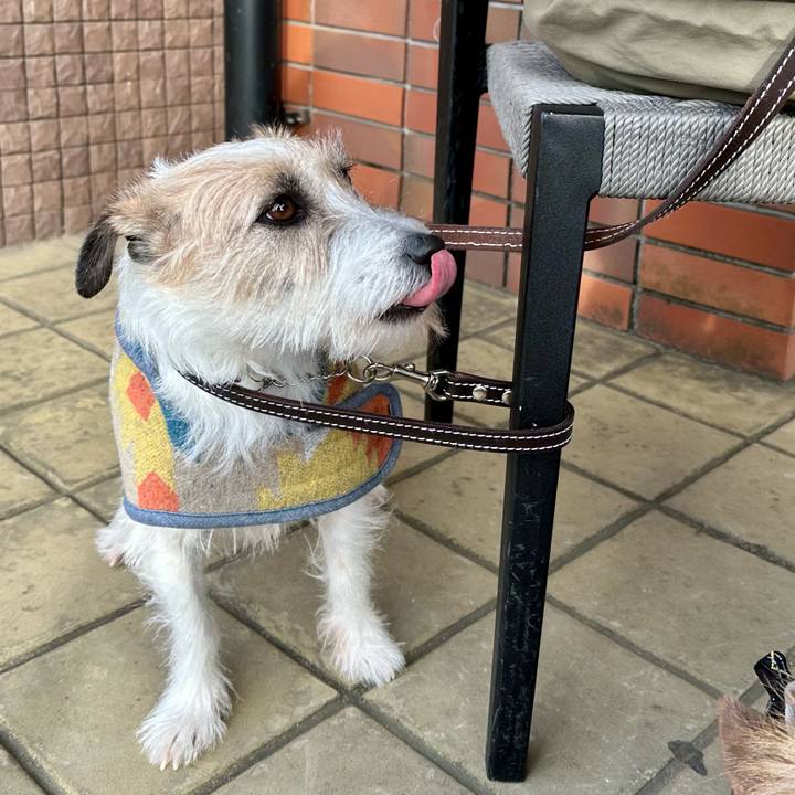 3190153a cfa4 4132 8c5b 88f6a93ca17e 1737905543633