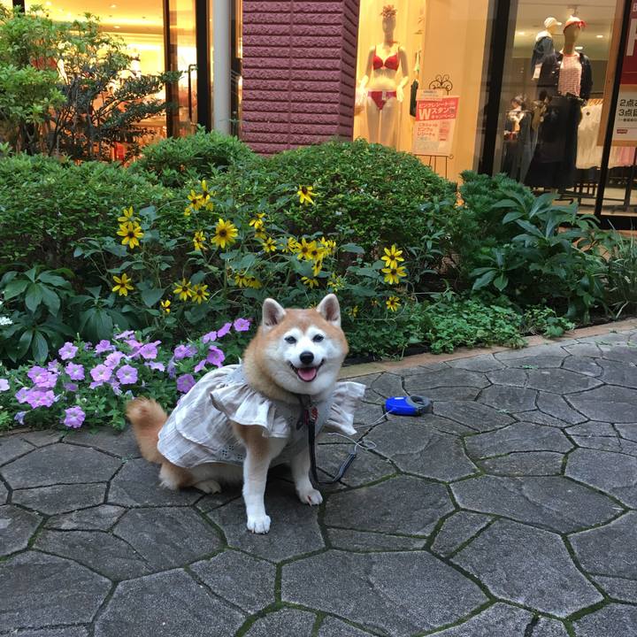 319038ae 60a2 491c b517 64b9d0ca10d2 1567684326058