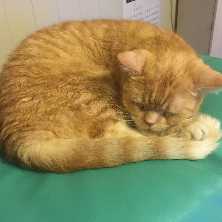 3190c463 33c4 45c1 93e7 0ecffe80d1bd 1559292147663