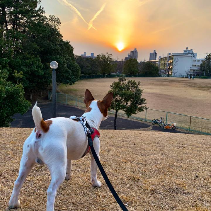 3190ccb2 4bce 4c9e acdd b92e11a7a168 1551780111193