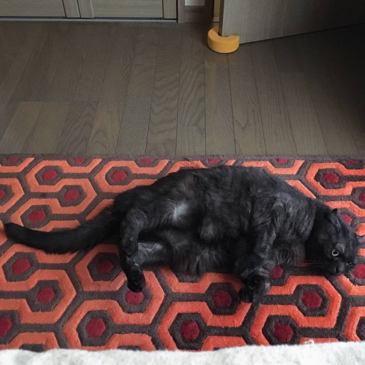 3190cf9a 2e31 4a91 8fcd 8c34e11fffaa 1559780639030