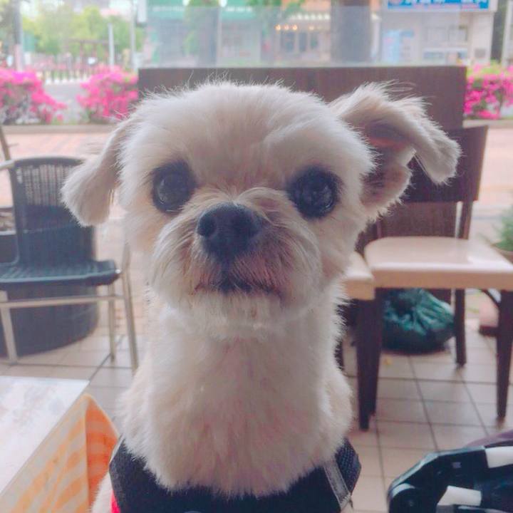 3190fdd3 4616 4eed ae9f 30a0633a4a88 1557144141066