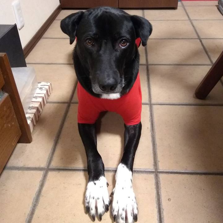 3191221c 0e03 441d ab20 ee278c15c60f 1612003134229