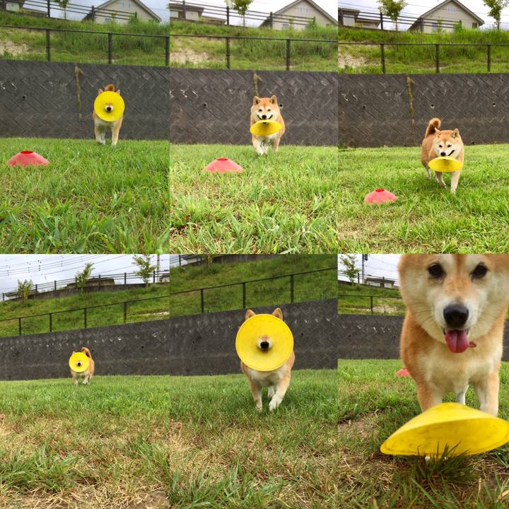 31916f26 147b 42dd 8dea f0714d0c8936 1565752258618