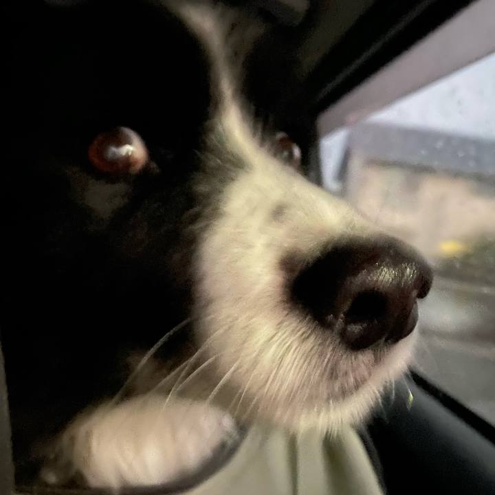 31917464 a2c2 43d8 8bd6 48ed2e0c1f8f 1673042773828