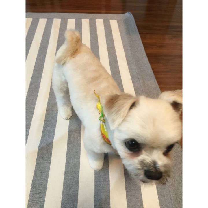 31917b60 70a8 483e ae5a 45736d10b5ac 1522232616603