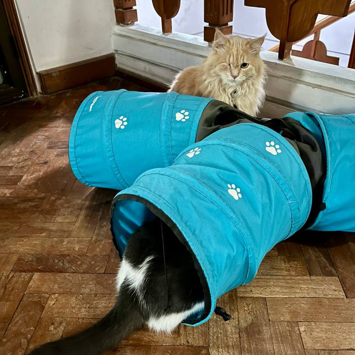 31918026 ee3b 4a76 8fdb 33a5f79be290 1773234293682