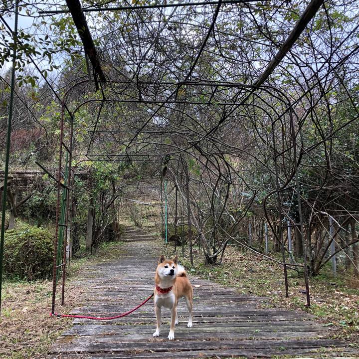 31919861 60cb 4867 82c8 8ef09ef9f859 1543654754359