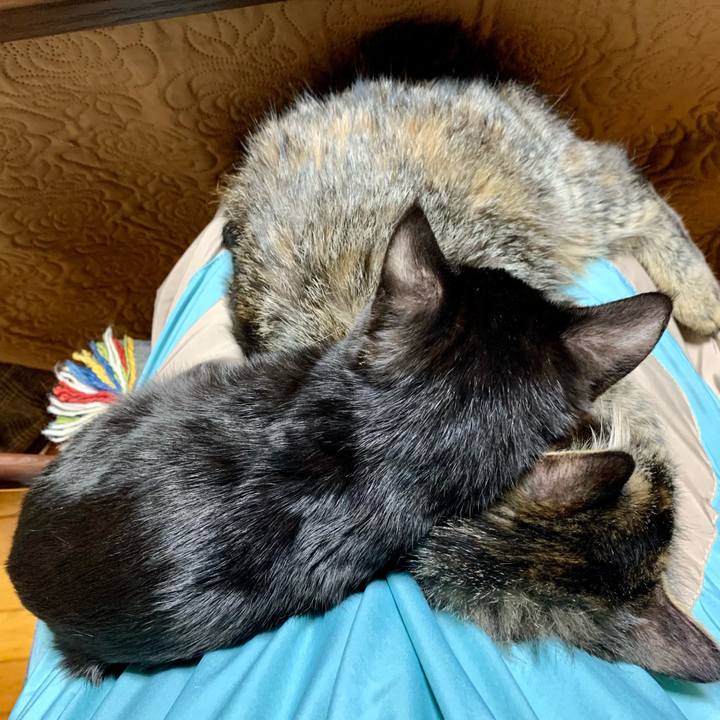 3191aa02 54d7 4561 94ef 8a00c346bb29 1643370155152