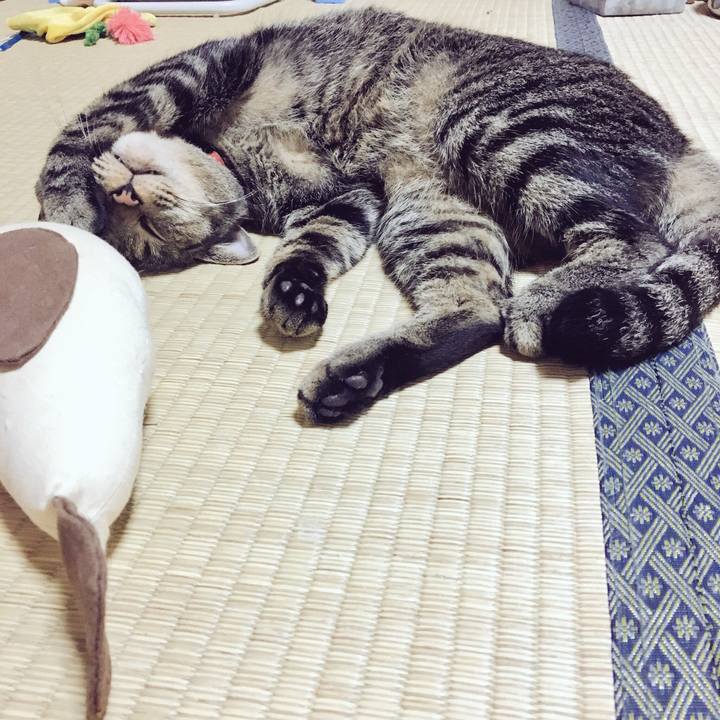 3191dc4e a9de 41f8 851a 4ea393906e9d 1536748514861