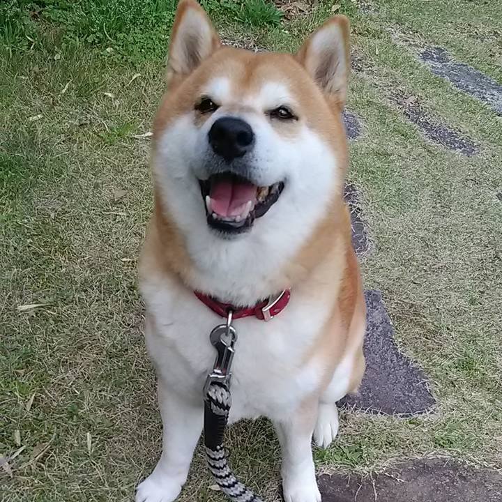 3191ebcf 578e 4756 aa93 e00ad9313069 1679736245137