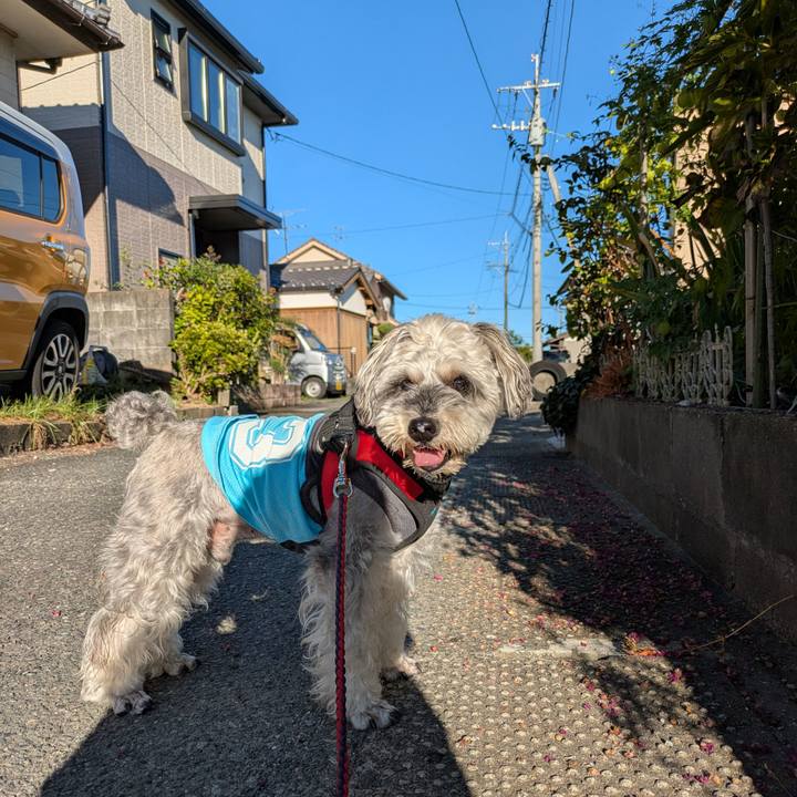 319205e8 8bb7 4d48 aa2e 279b320766d8 1753401984355