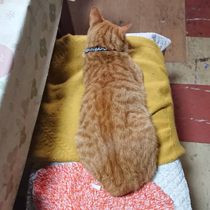 319238c0 8c5d 4a0f b818 a2f865086088 1570320322273