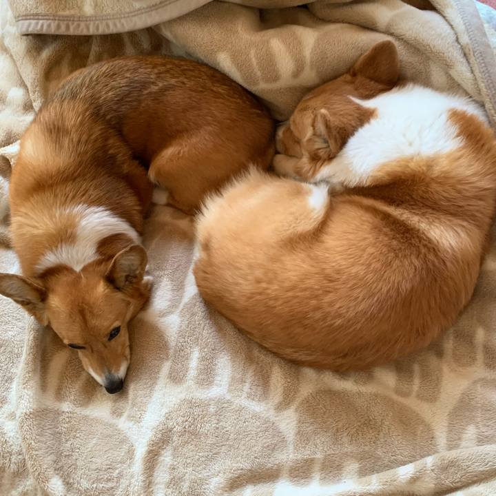 31925665 5c76 456f 89d9 42b72e1f3ed1 1619481477514