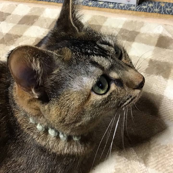 319290d5 1f4d 426e be61 0fe32dfdeef6 1641162852895