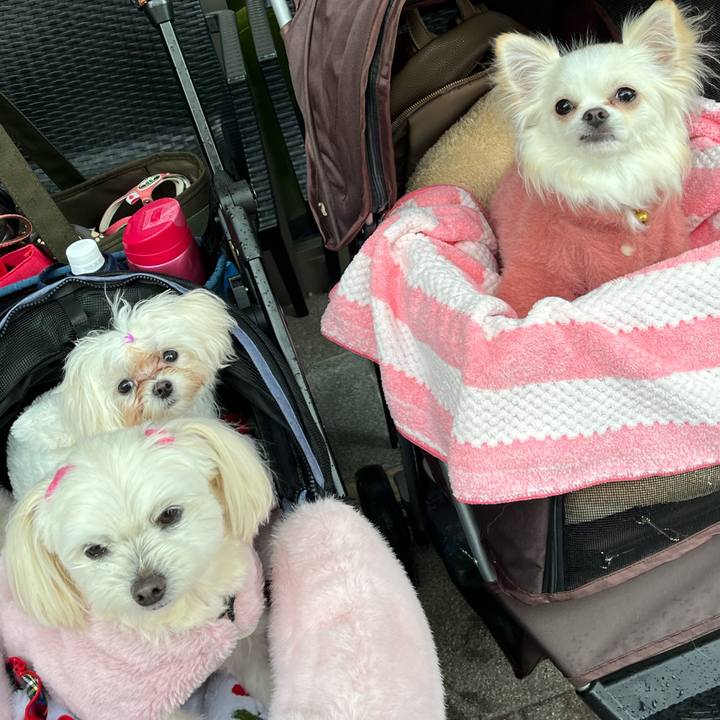 3192b34c 5f7e 4257 a6db c30e3787d690 1711268747954