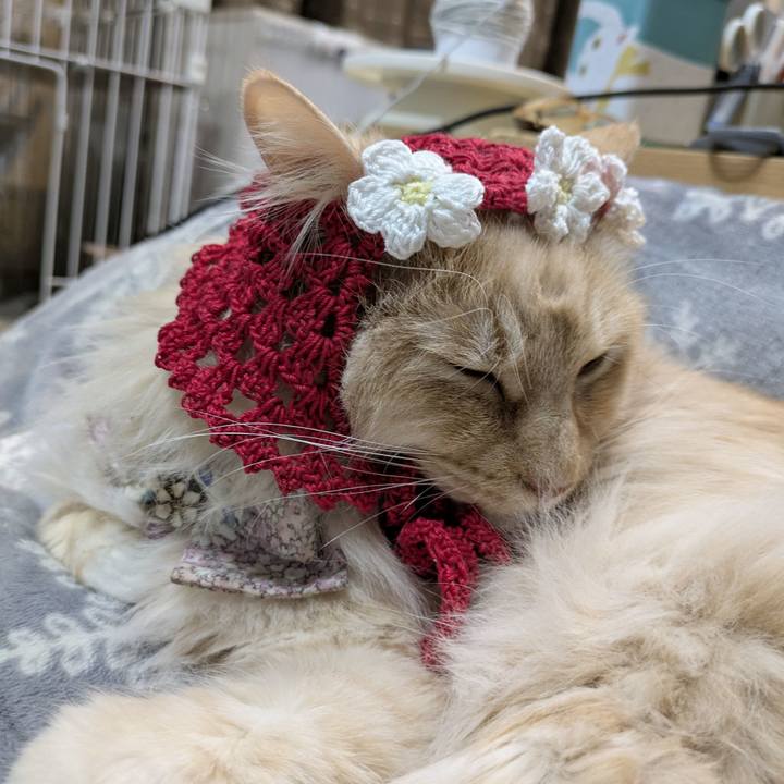 3192dff5 5d2f 46d7 9f38 d0e73a5f86a5 1770653478777