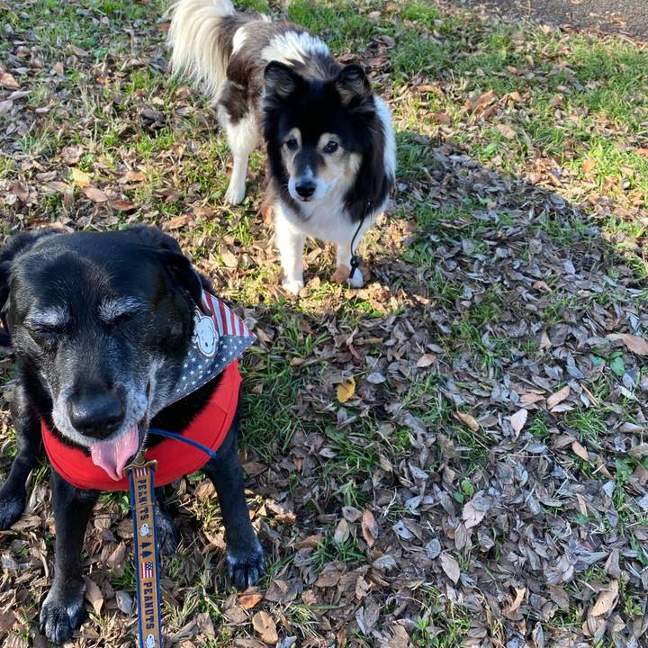 319311db e269 4504 ae04 e06929c39a76 1670996378403