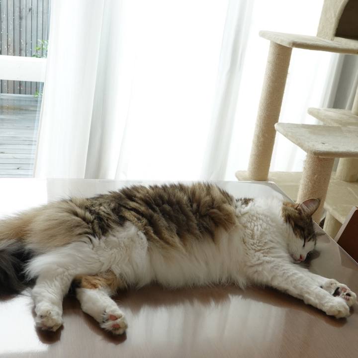 31934ae9 a532 4a82 bf91 4d412b705afc 1599464055365