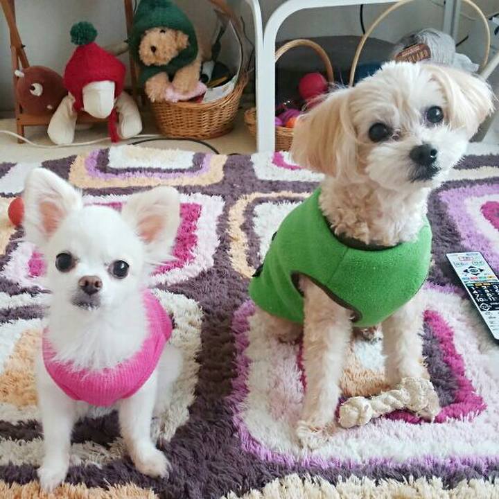 31935fed b275 4f2f 8d5c 7b90aee69580 1572254299895