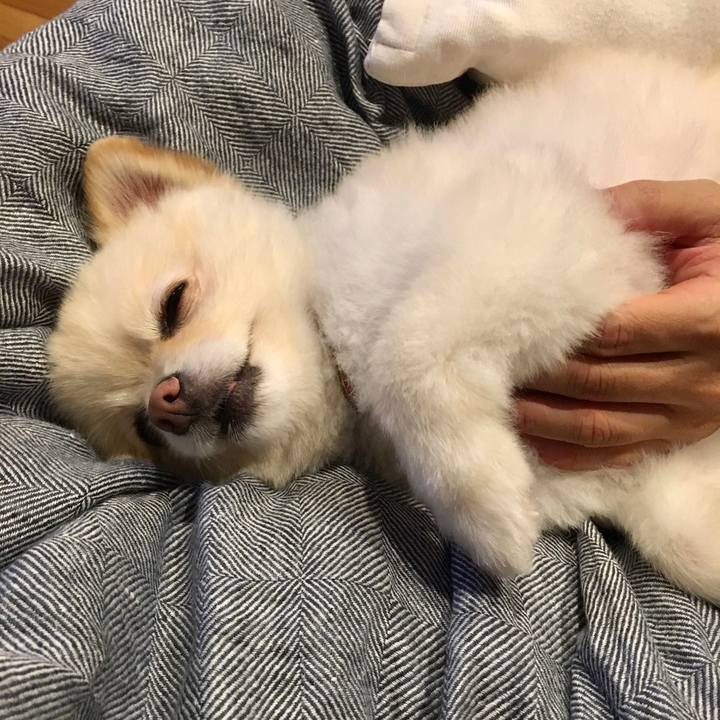 3193744e c92f 4a91 8353 ad6d325e706b 1597403197043