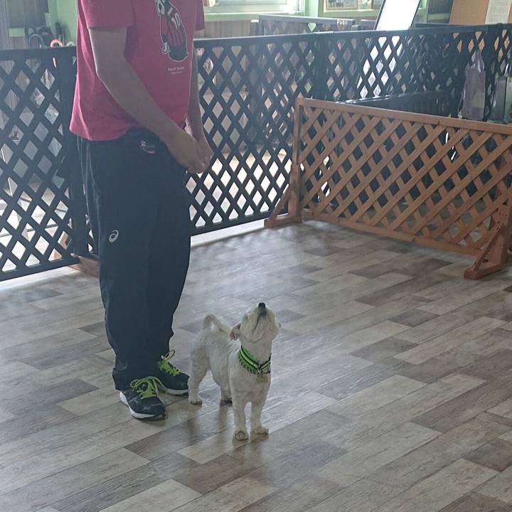 31939a9c 6a1a 4dcb 994f d880ab7b90b6 1592656526802