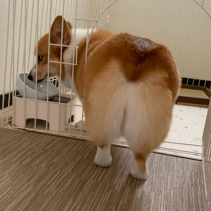 3193a4d0 9a80 40db aa9e f6a99d25c5bb 1569811511413