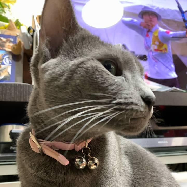 3193bbc0 a168 49a7 8804 fc0e655209e0 1584867706671