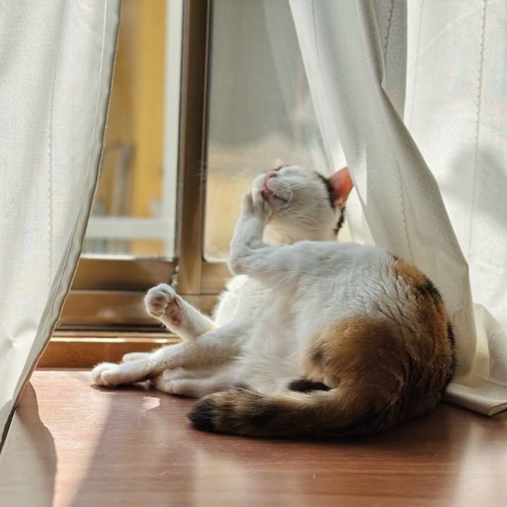 3193e92b 5e58 4337 af71 69573cfbecee 1678670071789