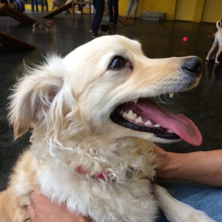 31940dbc 9096 462e 9294 f9060aee3008 1539558627404