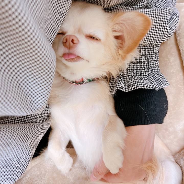 31942bf3 064b 4dbd 9292 319525fe99d2 1674202059602