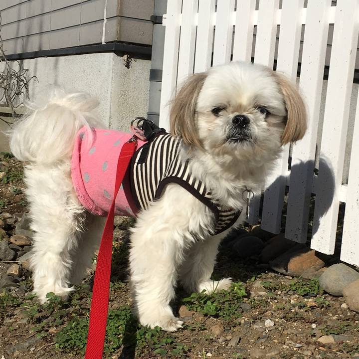 319441e8 60a3 498a 9093 a184dc23b302 1542337353307