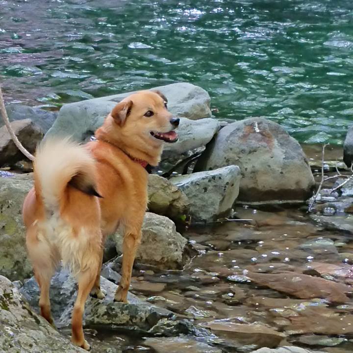 3194522d e399 46bb 930a 329b09e552d2 1602161361690