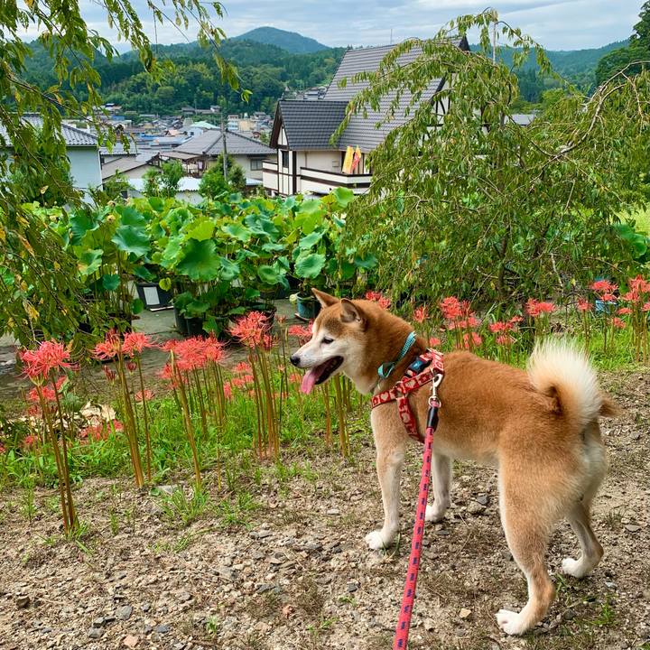 31947d9b 08ff 40a1 8091 7c5572189452 1630455494758