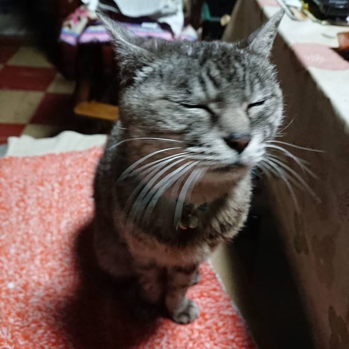 3194c8be 22fa 4adb 9115 dae811a71417 1569959474696