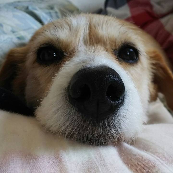 3194d16f 6f6d 48d3 8603 191f25e2aca6 1522393455359