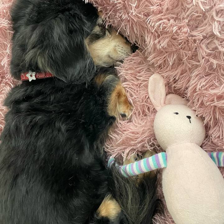 3194e1ff 1cb3 4ae6 9dff b47e4477fa8e 1769522756967