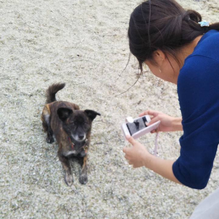 3194e5d5 05b0 4a1b bb0b d7c8ebb7a666 1539773860834