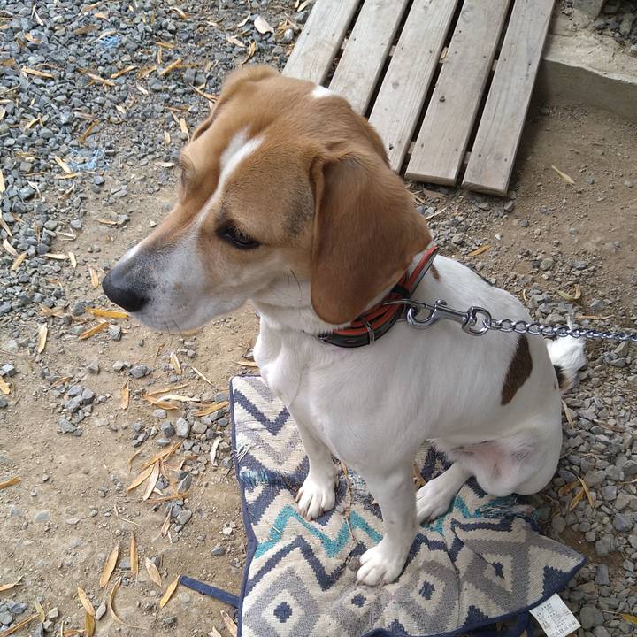 3194e8be 9c10 4425 9651 c29618dee0a0 1618308524700