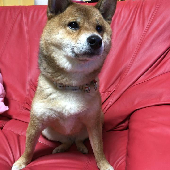 319509a3 edf9 4673 99b0 049b66d18d8f 1549455794982