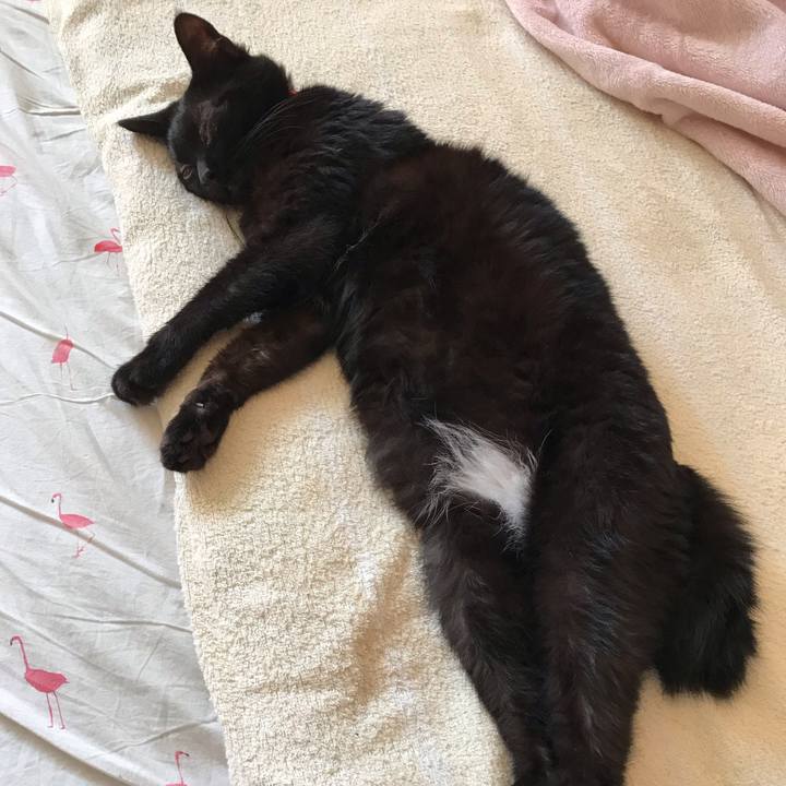 319520ee 9e7e 4f65 a43a 5fff8bacc648 1569927981613