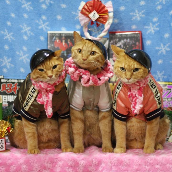 319543eb d3cb 405a aa96 d135cee43223 1609460276452