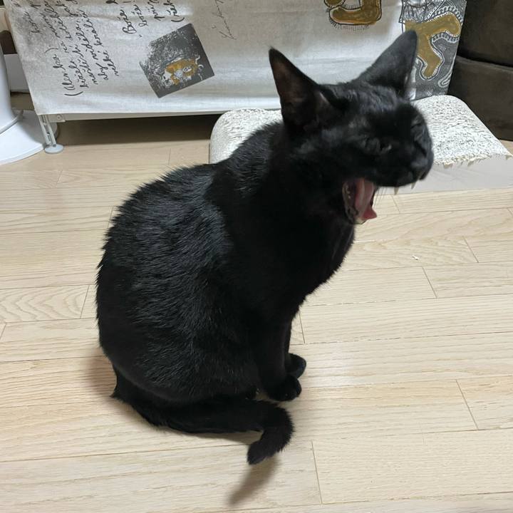 3195470a 8b6f 49e6 88d1 8589882b5dc5 1716116703907