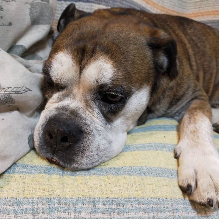 31954cca 5d37 4de6 9bd1 8e7e3d54aff5 1632657568787