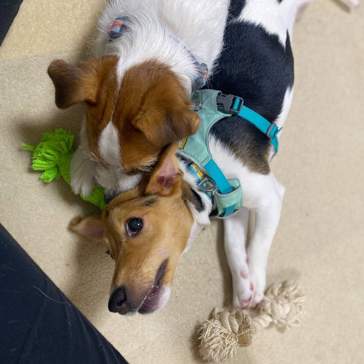 3195a5d4 08cb 4309 b473 105d7442900f 1752239892977