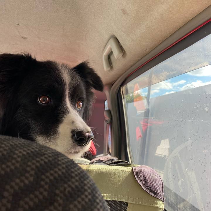 3195f951 bfaa 4c92 8c04 823179128914 1634563008257